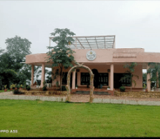 वन समिति की आड़ में काफी पाइंट में ऊगाही