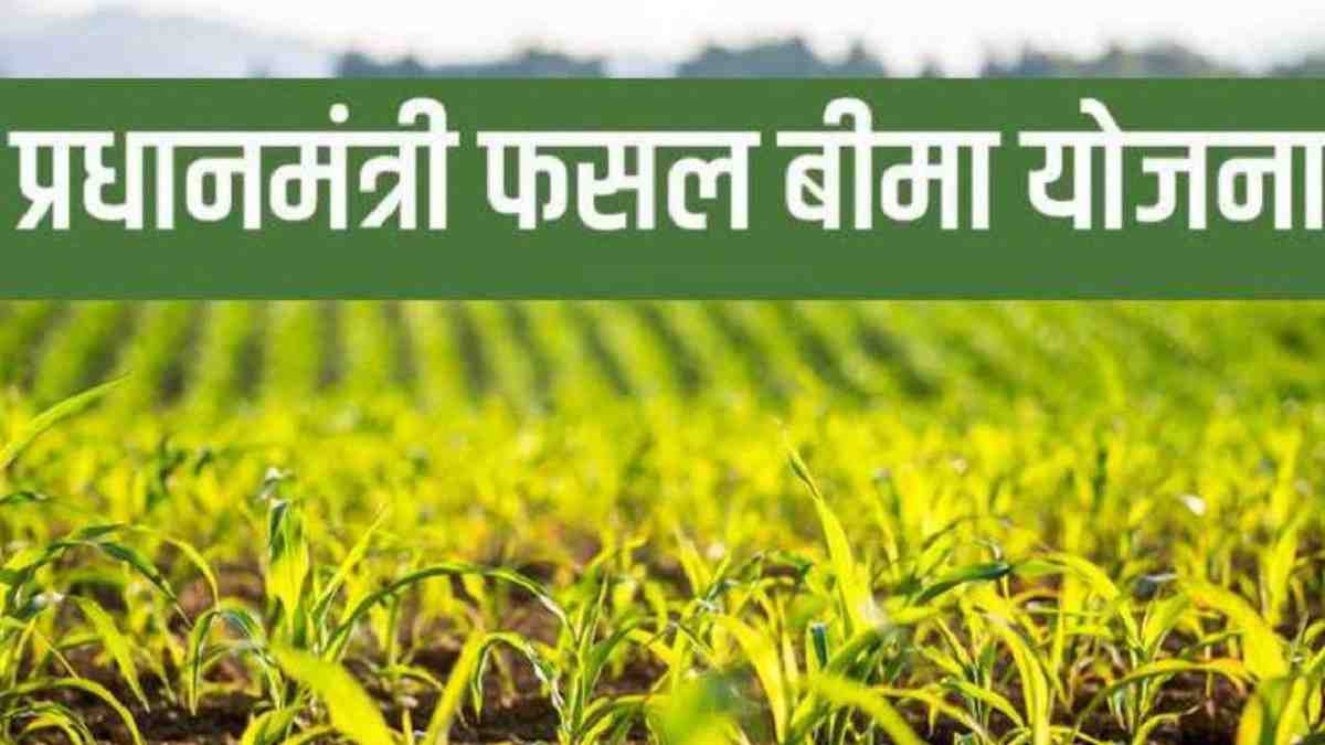प्रधानमंत्री फसल बीमा योजना की अंतिम तिथि बढ़ी, अब 14 अगस्त तक करा सकेंगे पंजीयन