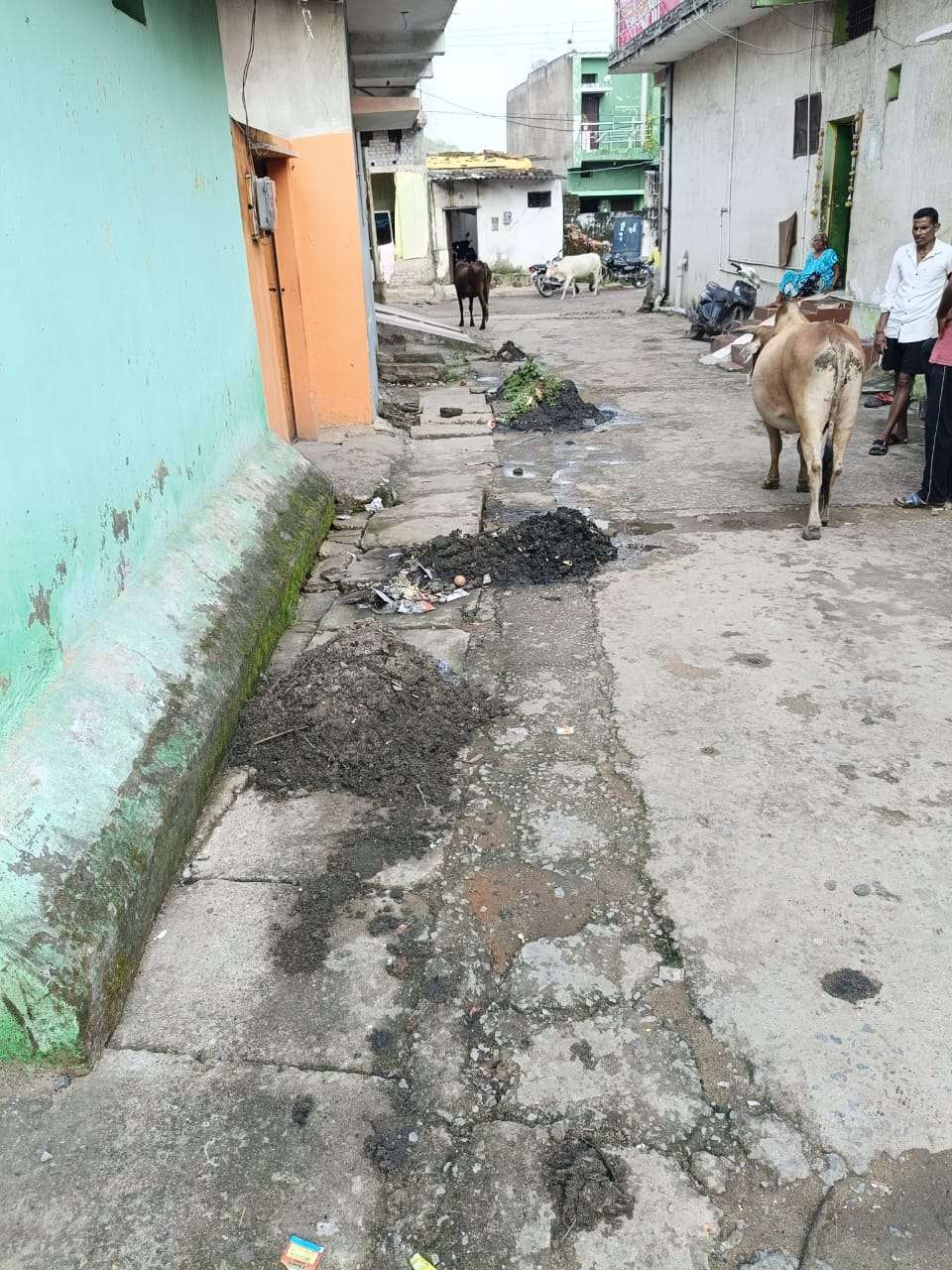 🚨 कोरबा के वार्ड 01 राम सागर पारा में स्वच्छता व्यवस्था ध्वस्त – जनता ने खुद उठाया जिम्मेदारी का भार! 🚨