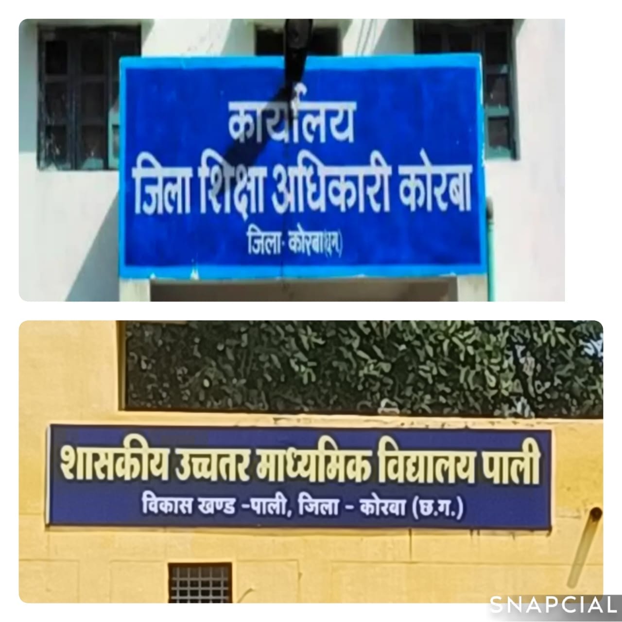 शासकीय हायर सेकेंडरी स्कूल पाली में भ्रष्टाचार का बड़ा खुलासा!