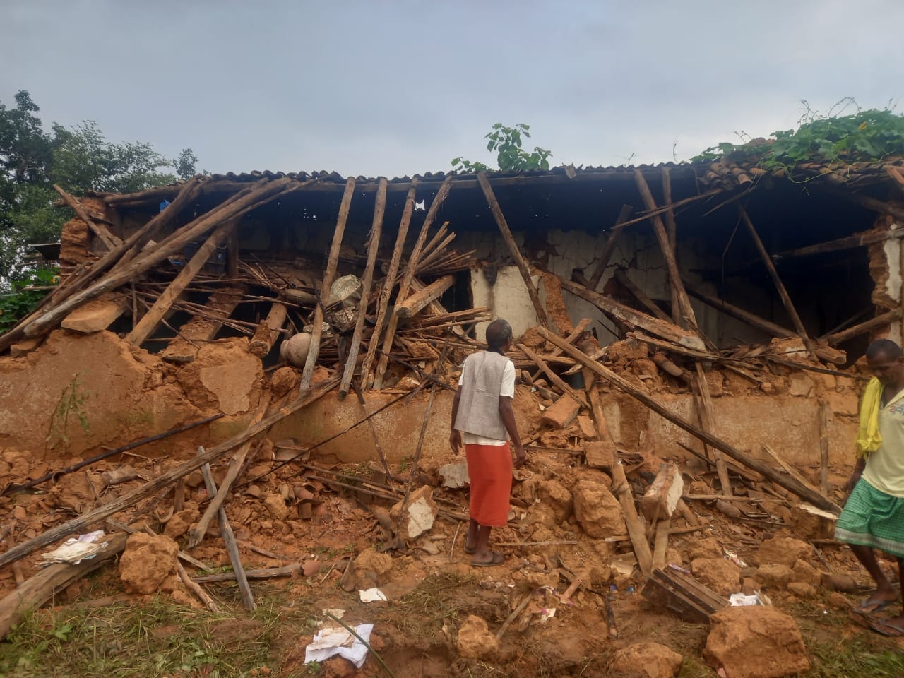 तनेरा के गौरेला डांड में हाथियों का कहर, दो किसानों के मकान उजड़े – बाल-बाल बचे ग्रामीण