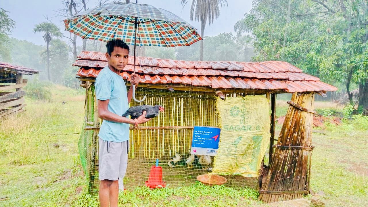 सुकमा में किसानों को मिला हस्तनिर्मित पोल्ट्री शेड का लाभ