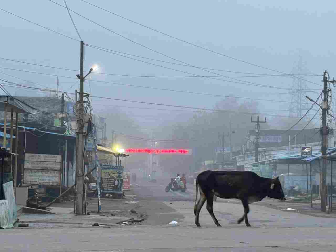 कोरबा समाचार : दर्री क्षेत्र में छाया घना कोहरा, सुबह की रौनक हुई फीकी