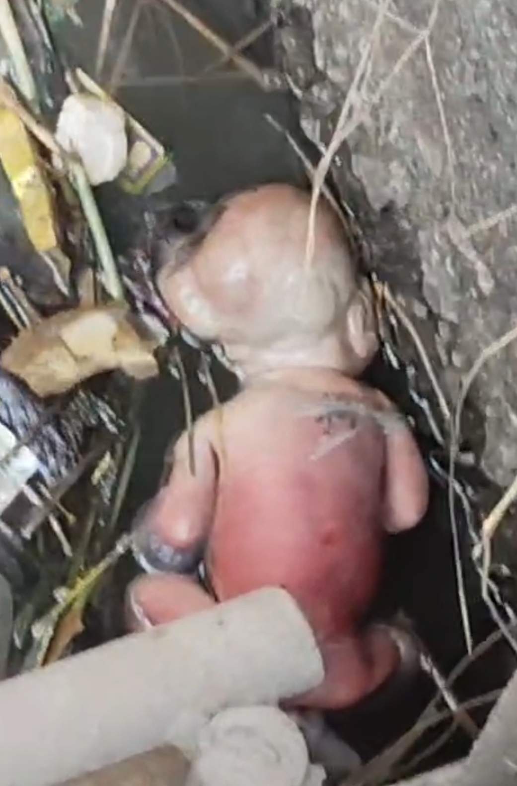 एनटीपीसी नहर के तीन नंबर गेट पर एक साल से कम उम्र के मासूम का शव मिलने से हड़कंप