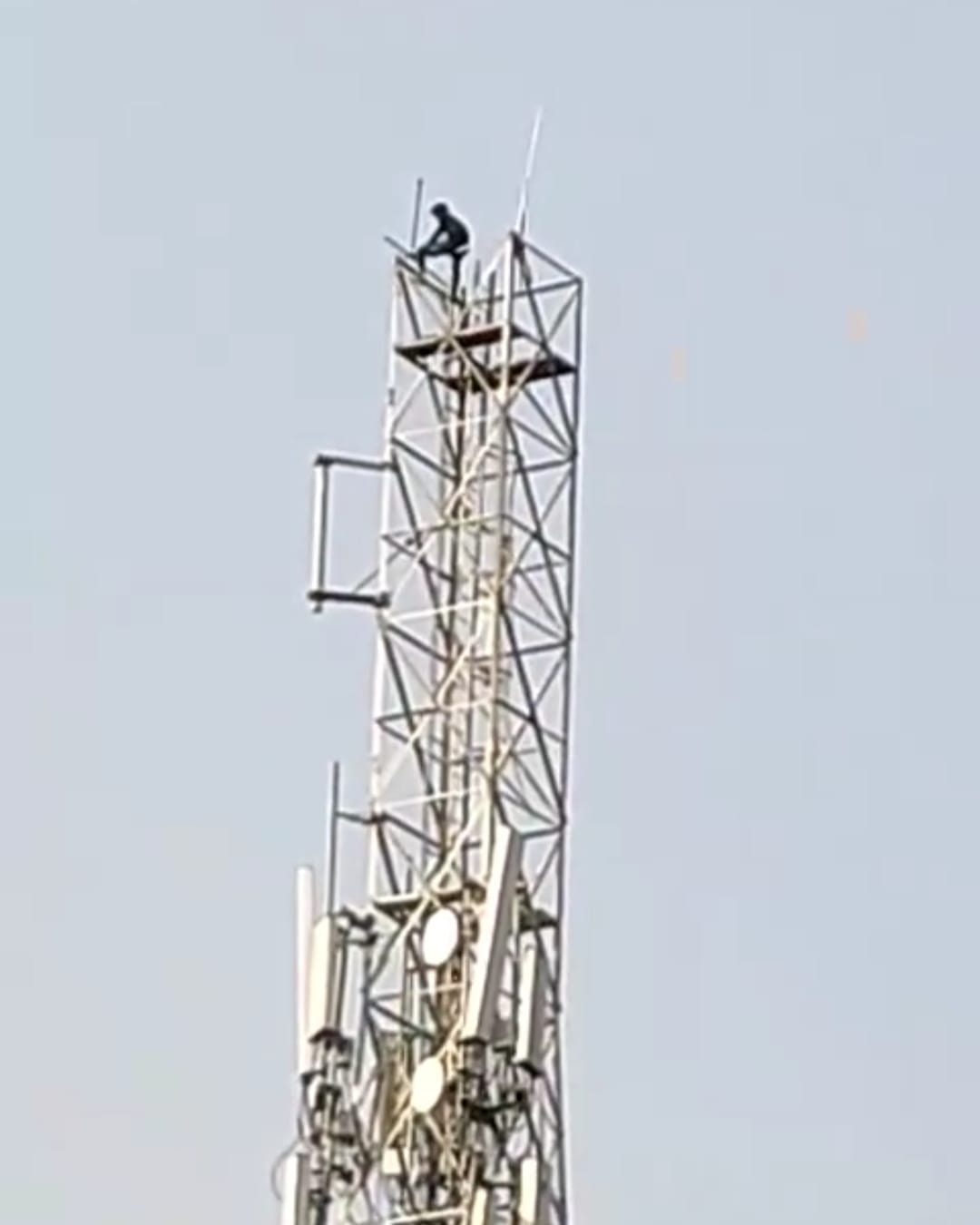कोरबा: घरेलू विवाद में युवक चढ़ा 200 फीट ऊंचे मोबाइल टावर पर, पुलिस की समझाइश से बची बड़ी अनहोनी