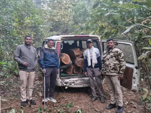 बिलासपुर जंगलों में सागौन तस्करी का भंडाफोड़, वन विभाग ने स्कॉर्पियो समेत कीमती लकड़ी जब्त की