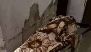 कोरबा में दिल दहला देने वाली घटना: गर्भवती पत्नी को छोड़ युवक ने की आत्महत्या, परिजनों ने जताई जादू-टोना की आशंका