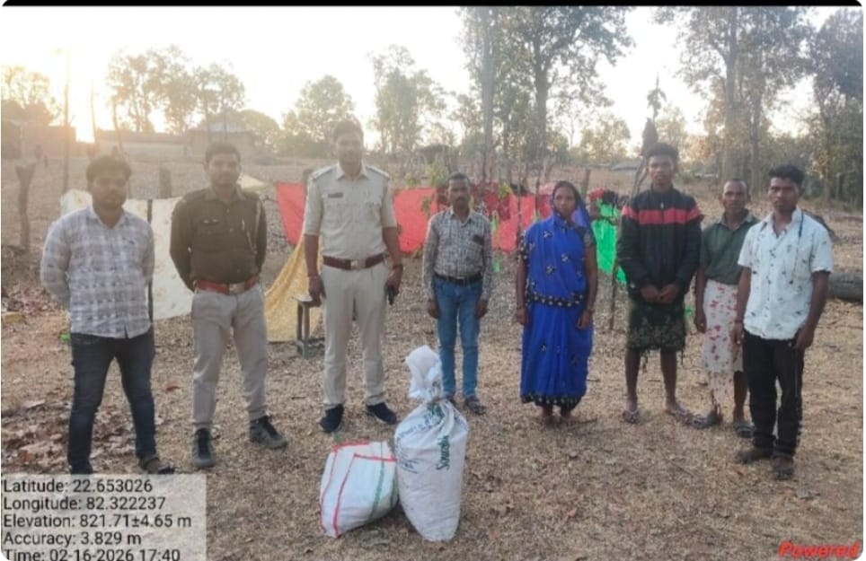 4 दर्जन हाथियों का धावा: धोबीबारी में दहशत, वन विभाग की टीम मौके पर