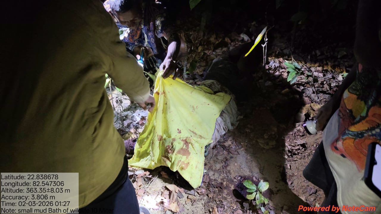 बकरी चराने गए युवक पर भालू का हमला, सिर पर वार कर उतारा मौत के घाट