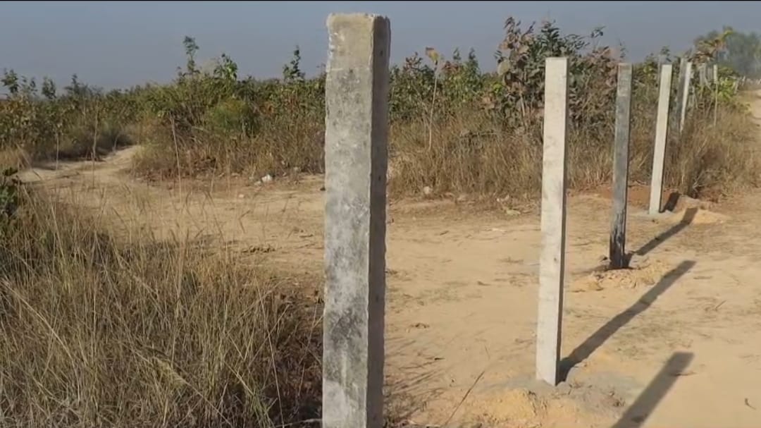 वन सुरक्षा कार्य में लापरवाही? बिना पानी-मिश्रण के गाड़े जा रहे फेंसिंग के खंभे