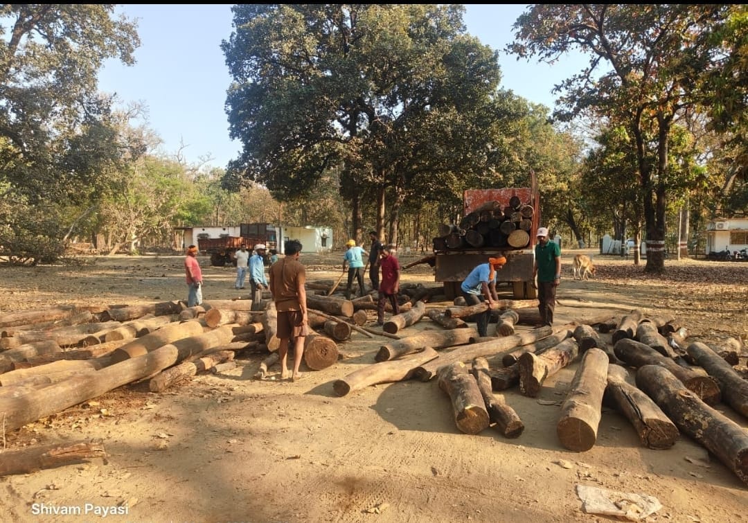 जनकपुर काष्ठागार में लकड़ी घोटाले का खुलासा: टीपी में 150 की जगह ट्रक से निकली 208 नग लकड़ी, 58 नग अतिरिक्त मिलने से मचा हड़कंप