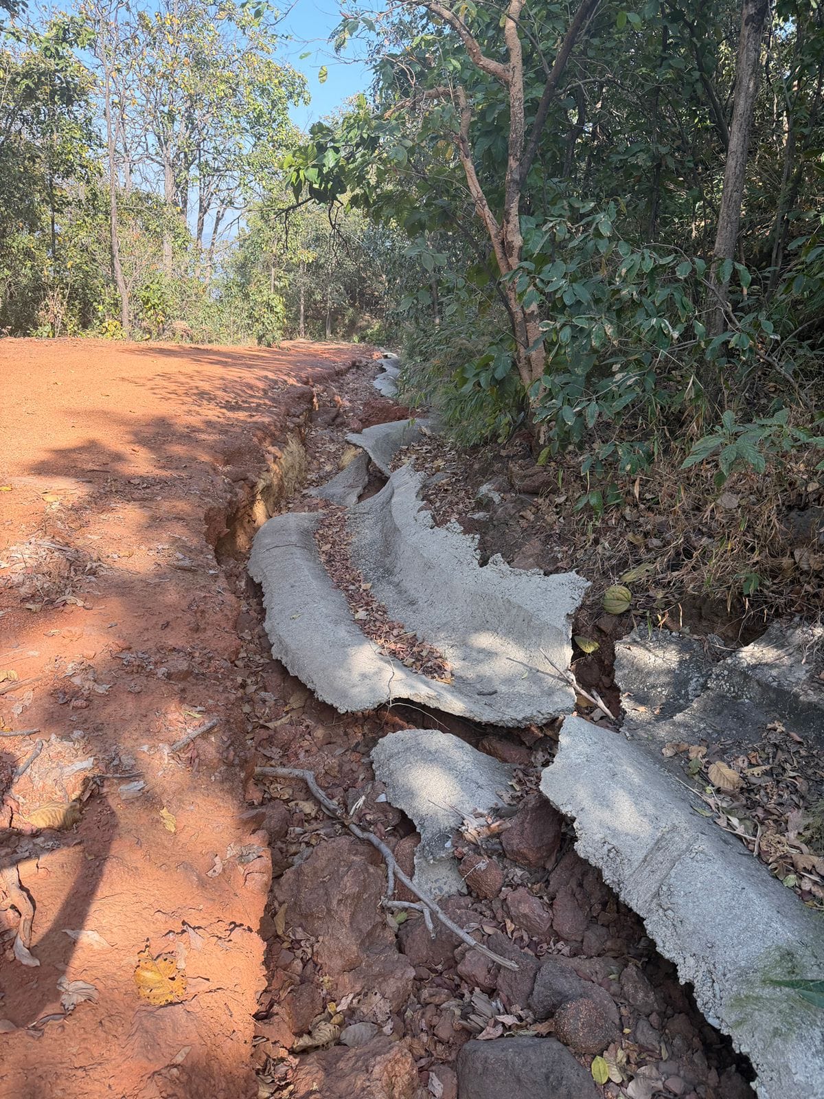 वन विभाग में निर्माण कार्यों पर उठे सवाल, अनियमितता के आरोपों से मचा हड़कंप