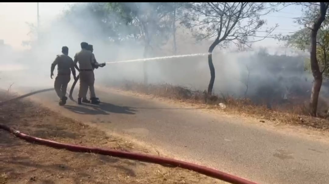 दर्री होली के दिन टला बड़ा धमाका! गैस एजेंसी तक पहुंची आग, सीएसईबी कोरबा पश्चिम दमकल टीम की तत्परता से बची बड़ी त्रासदी देखें वीडियो