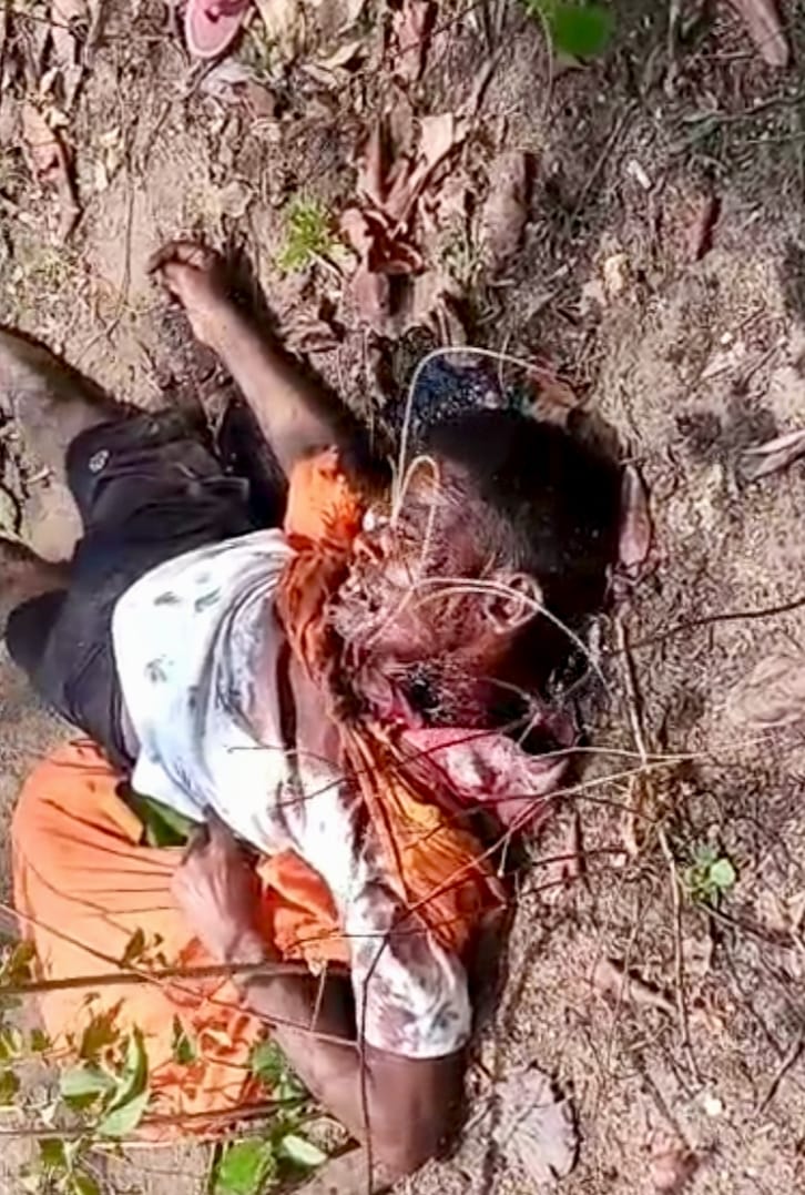 सीतानदी टाइगर रिजर्व में दर्दनाक हादसा: तेंदूपत्ता तोड़ने गए ग्रामीण पर भालू का हमला, मौके पर मौत