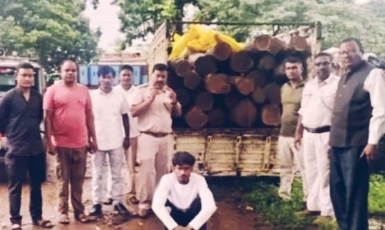 भुलसीडीह जंगल से सागौन के 26 लट्ठे बरामद, पिकअप जब्त