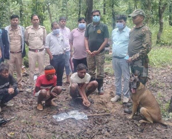 मृत भालू के पंजे से नाखून काटने वाले दो आरोपी गिरफ्तार