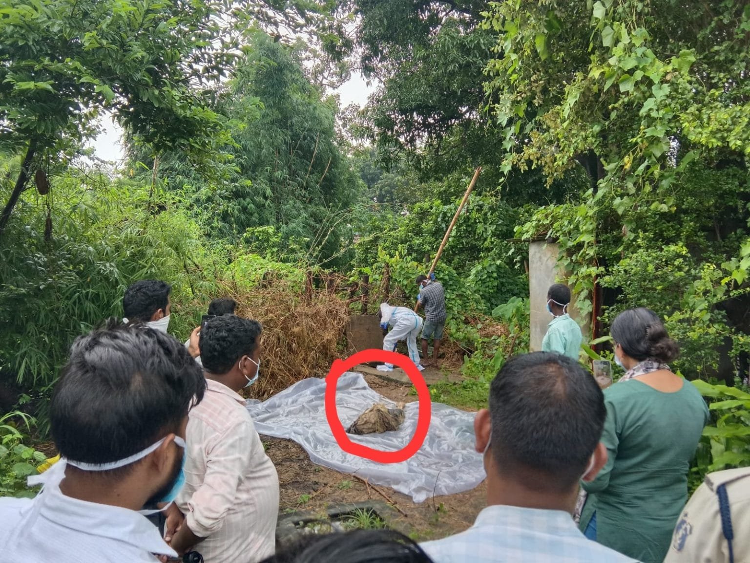 कोरबा: सेप्टिक टैंक में मिला महिला का सड़ा-गला शव, पति पर हत्या का संदेह…